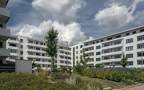 BD Svratka, Brno